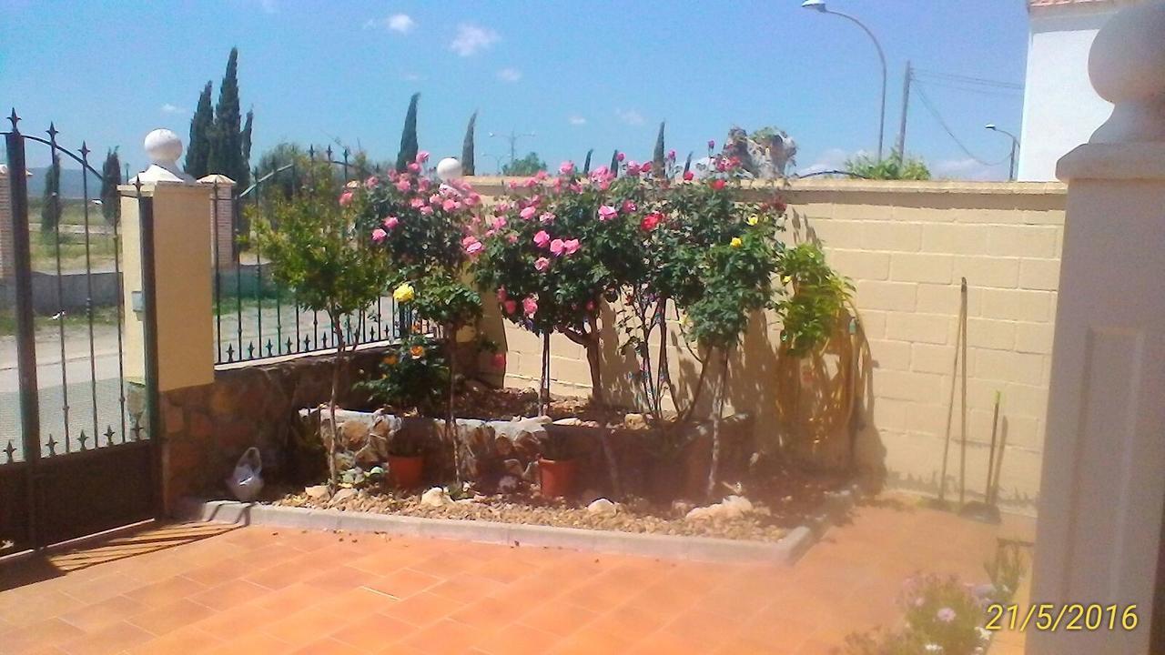 La Rosaleda De Orgaz Guest House Екстериор снимка